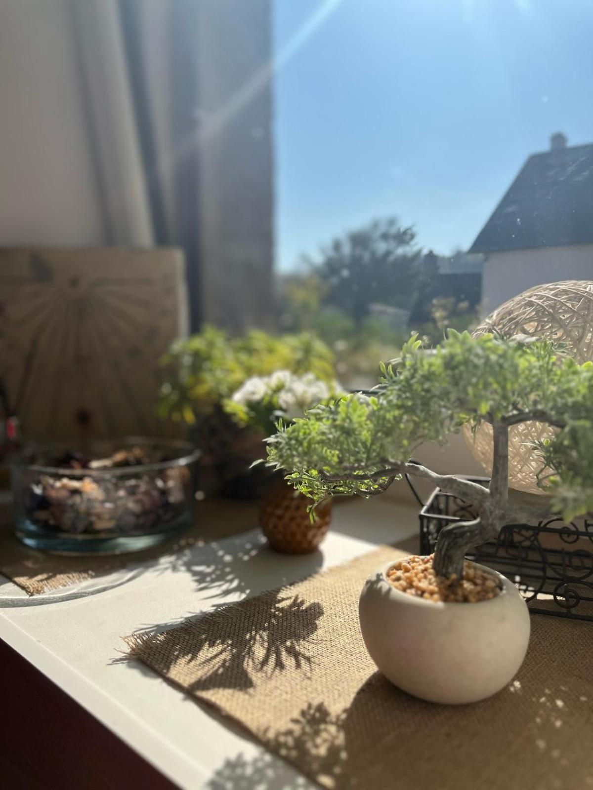 Le Gite De La Menuiserie Maisoncelles-la-Jourdan ภายนอก รูปภาพ